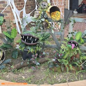 Halloween House at 6 Devaney Avenue, Glenmore Park