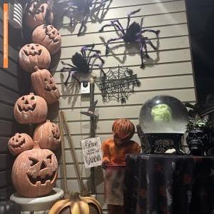 Halloween House at 126 Marshall Street, Garden Suburb