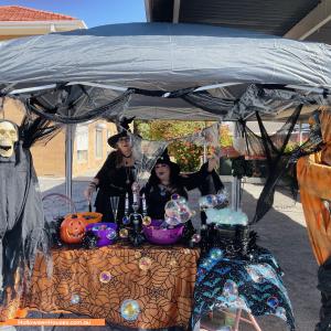 Halloween display at 16 Sixth Avenue, Ascot Park