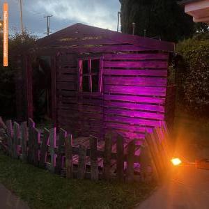 Halloween House at 173 Taylor Street, Wilsonton