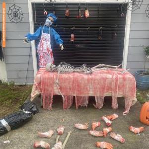 Halloween House at 3 Mirage Close, Raymond Terrace