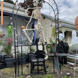 Halloween House display at 14 Percival Street, Preston