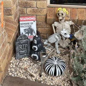 Halloween House at 4 Strathconan Drive, Glenvale