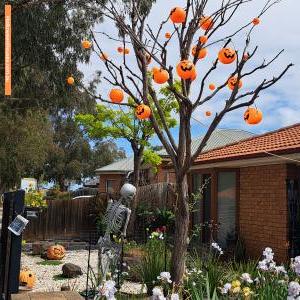 Christmas Light display at 14 Boardwalk Boulevard, Point Cook