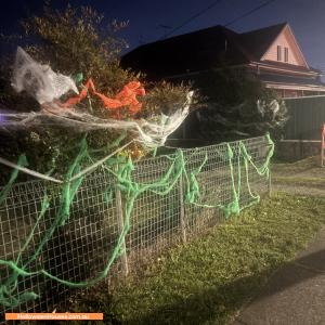 Halloween House display at 115 Brisbane Street, Saint Marys